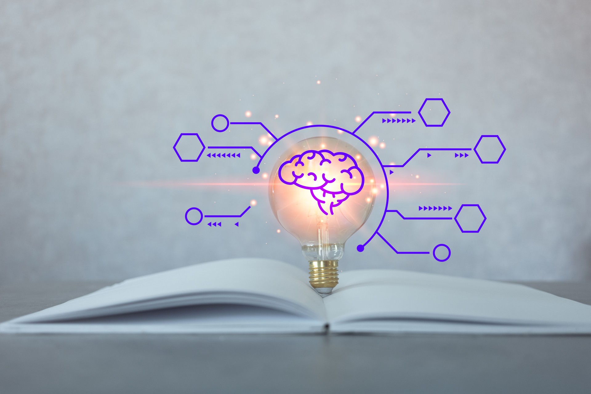 Light bulb on book with brain icon and empty diagram. Concept of education. Creativity knowledge.